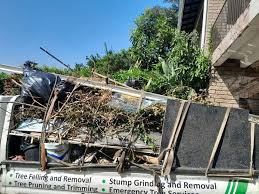 Best Furniture Removal  in Wolverine Lake, MI