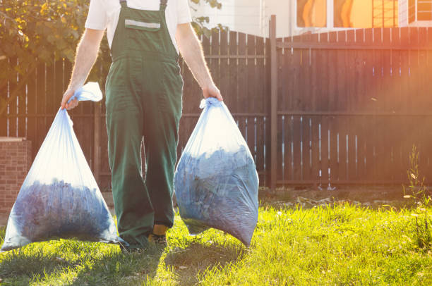 Best Shed Removal  in Wolverine Lake, MI